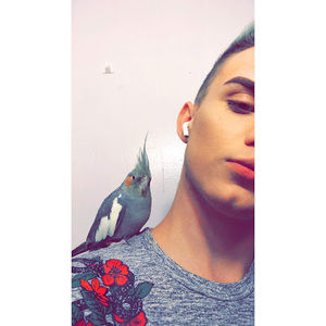 Meet your Posher, Kaleb